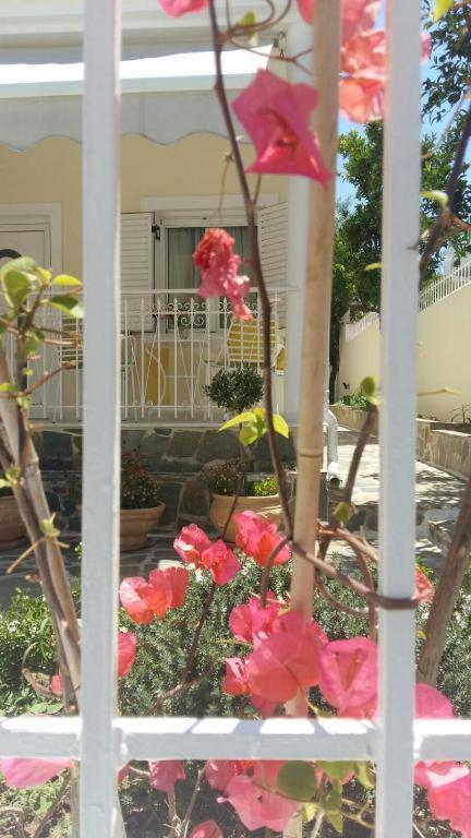 Nn Spata Rooms & Suites Near Athens Airport エクステリア 写真